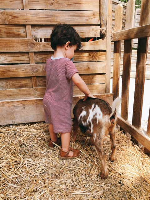 Parc de jeux et de loisirs pour enfants Aix en Provence - MontoPoto